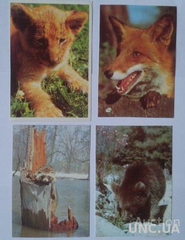 Календарик. Жителі лісу.1990 р.