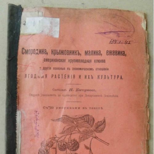 Смородина, крыжовник, малина, ежевика, клюква. Кичунов Н. 1911