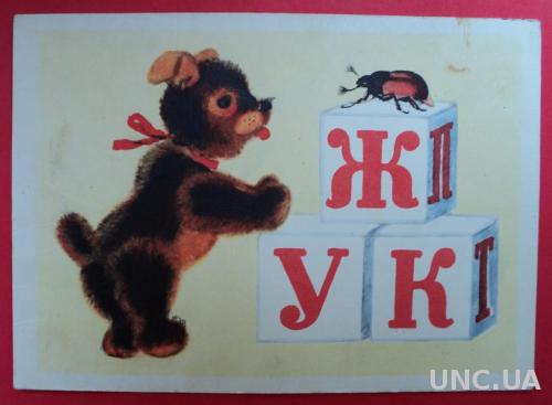 Кто Это Ушакова Мишка Игрушки Жук 1955 Чистая