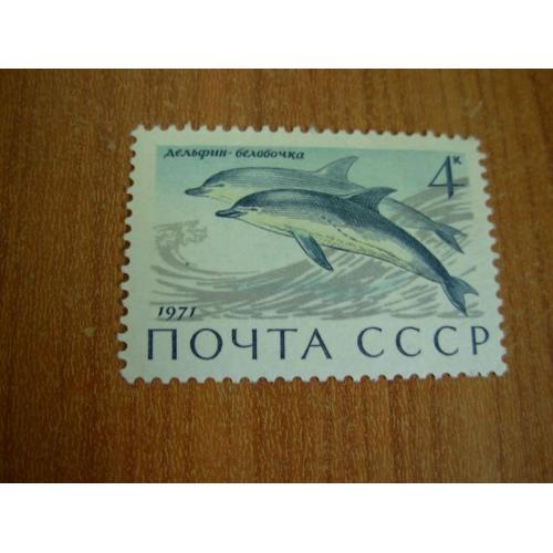 1971.ссср