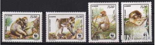 Алжир,фауна,обезьяны,WWF,4 марки- 8 михель евро