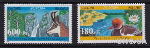 Болгария,птицы,фауна,2 марки- 2,5 михель евро