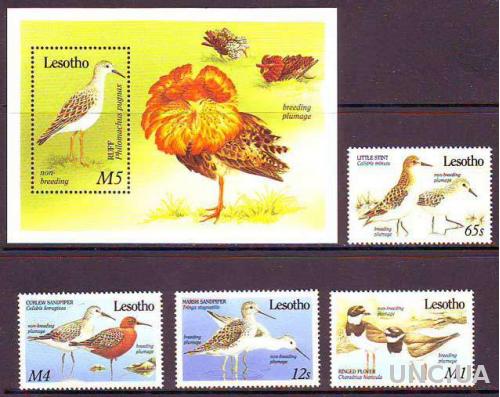 Лесото,птицы,блок+ 4 марки-20 михель евро
