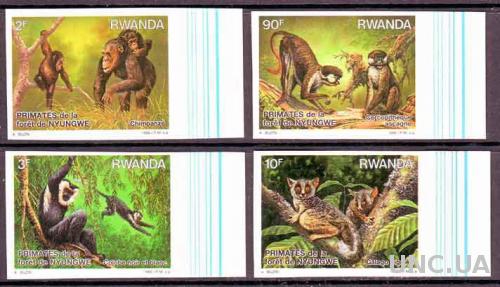 Руанда,фауна,обезьяны,4 беззубцовые марки-25михель евро