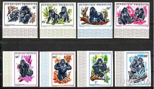 Руанда,обезьяны,8 беззубцовых марок с полем-25 михель евро
