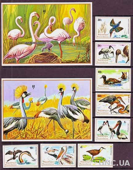 Руанда,птицы,2 беззубцовых блока+8 марок-58 михель евро