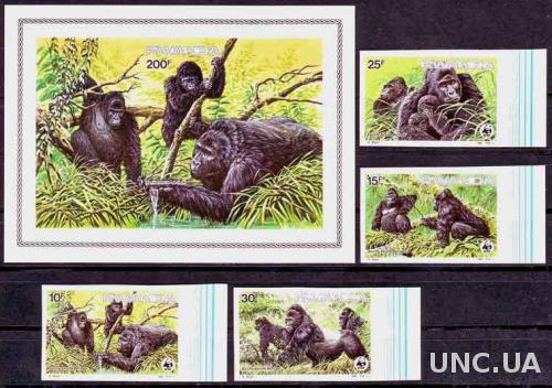 Руанда,WWF,фауна,обезьяна, беззубц. блок+4 марки-61 михель евро