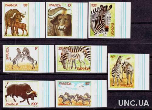 Руанда,зебры,фауна,8 беззубцовых марок- 25 михель евро