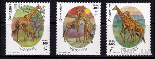 Сомали,фауна,жирафы,3 марки-15 михель евро