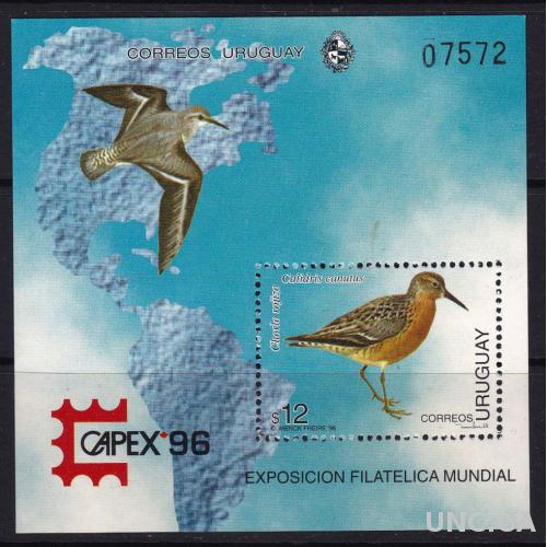 Уругвай,птицы,блок- 7 михель евро