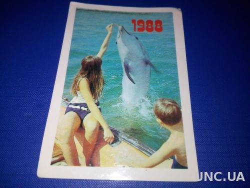 Дельфины (1988)