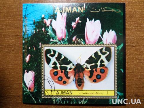 Ajman фауна бабочка КЦ-2,6м блок 1