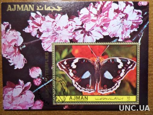 Ajman фауна бабочка КЦ-3,2м блок