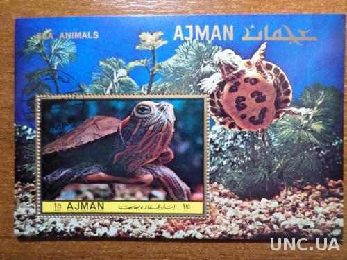 Ajman фауна черепаха КЦ-2,6м блок