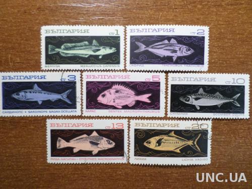 Болрагия фауна рыба КЦ-2,9евро 1969 без 1