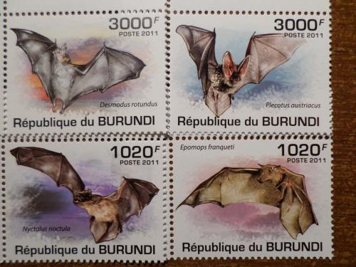 Бурунди фауна летучая мышь 2011