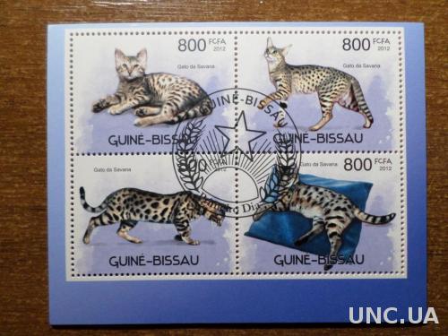 Гвинея Биссау фауна кот 2012