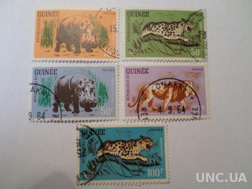 Гвинея фауна КЦ=3,5м 1962 без 1