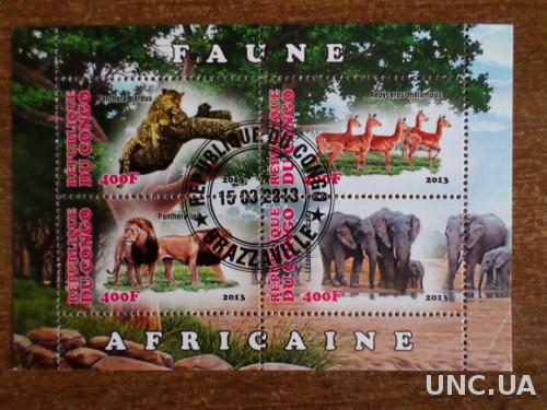 Конго фауна 2013