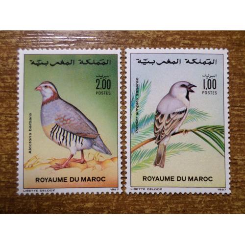 Марокко фауна птица КЦ=2,6евро 1987