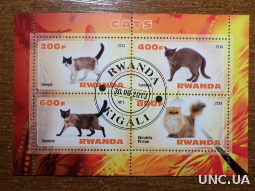Руанда фауна кот 2013