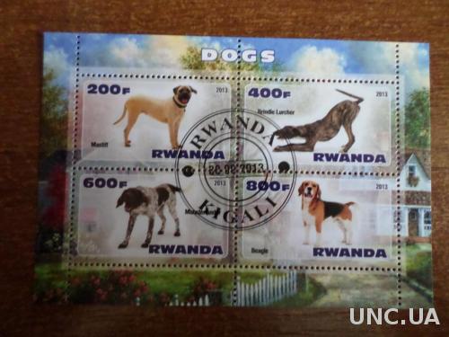 Руанда фауна собака 2013