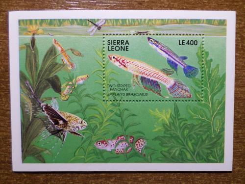 Сьера-Леоне фауна рыба КЦ=8евро 1991