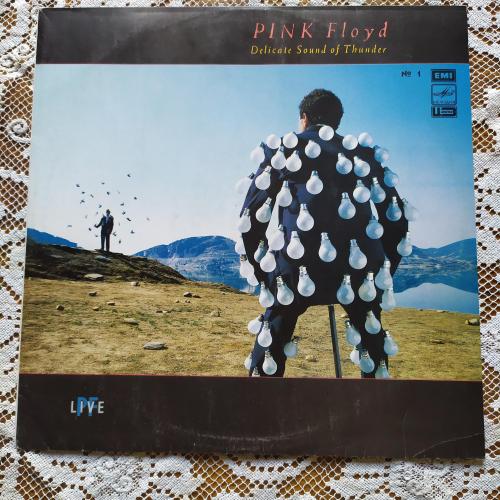 Pink Floyd Delicate Sound of Thunder 1 рига