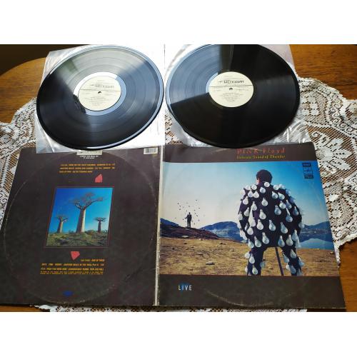 Pink Floyd Delicate Sound Of Thunder 2 пластинки разворот