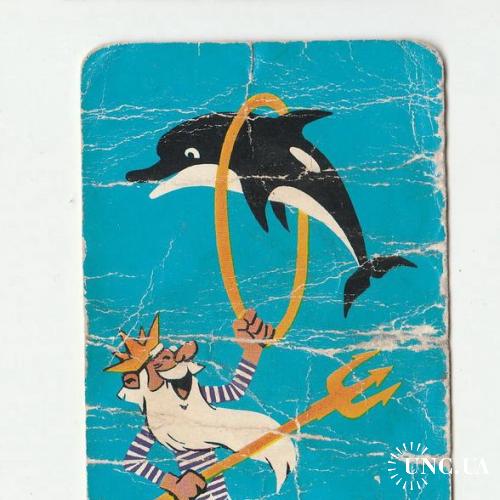 Календарик 1971 Черноморское морское пароходство, дельфин

