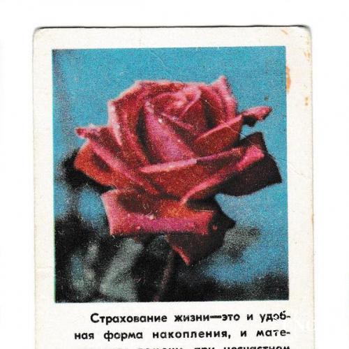 Календарик 1979 Госстрах, цветы, роза
