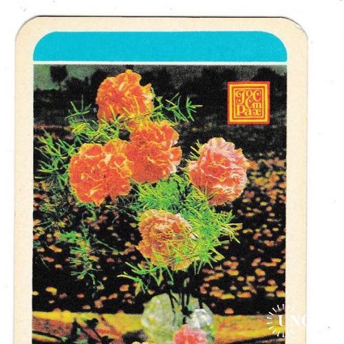 Календарик 1981 Госстрах, цветы
