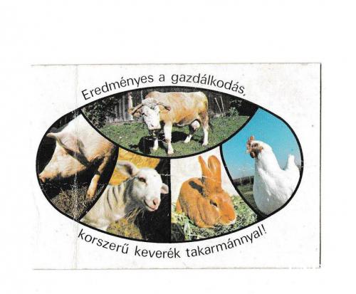 Календарик 1982 Домашние животные, Венгрия
