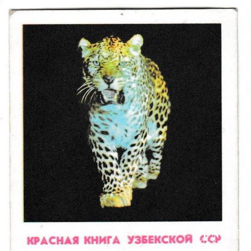 Календарик 1982 Фауна, леопард, Узбекистан
