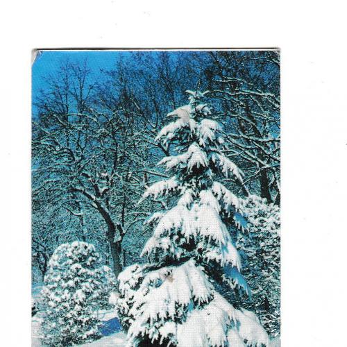 Календарик 1984 Природа, зима
