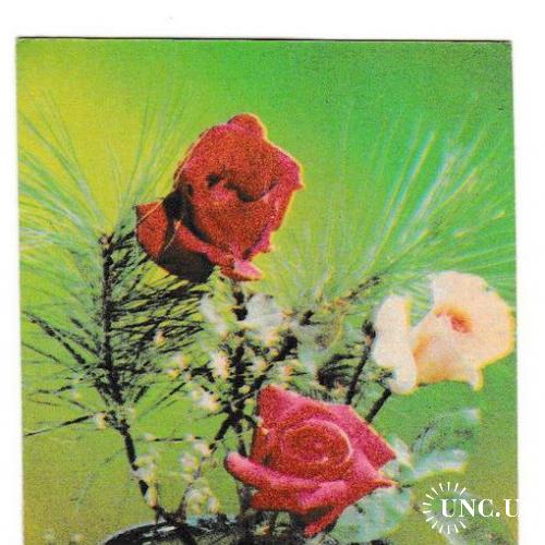 Календарик 1985 Цветы, розы
