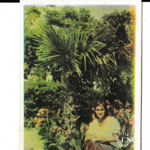 Календарик 1985 Госстрах, флора, девушка, Кировоград
