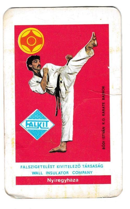 Календарик 1985 Каратэ, единоборства, спорт, Венгрия
