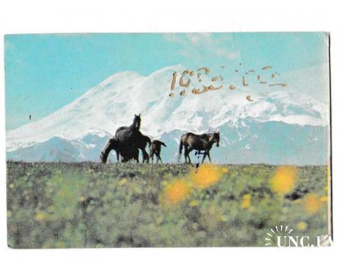 Календарик 1985 Кавказская здравница, горы, Эльбрус, лошади
