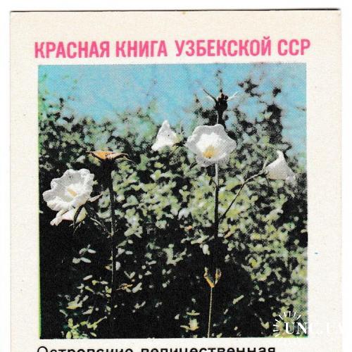 Календарик 1986 Флора, Узбекистан
