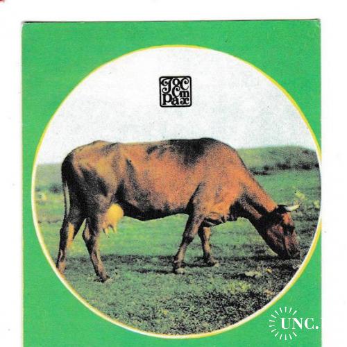 Календарик 1986 Госстрах, корова
