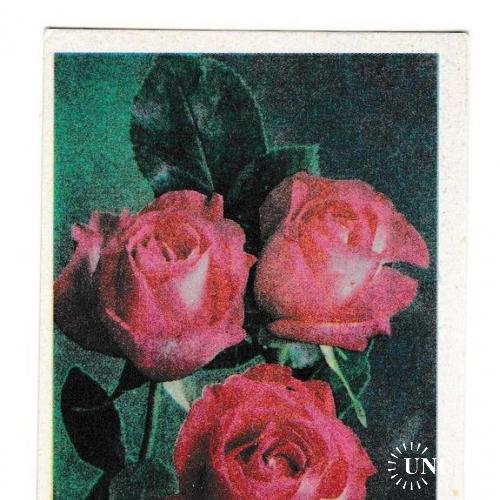 Календарик 1987 Цветы, розы, Грузия
