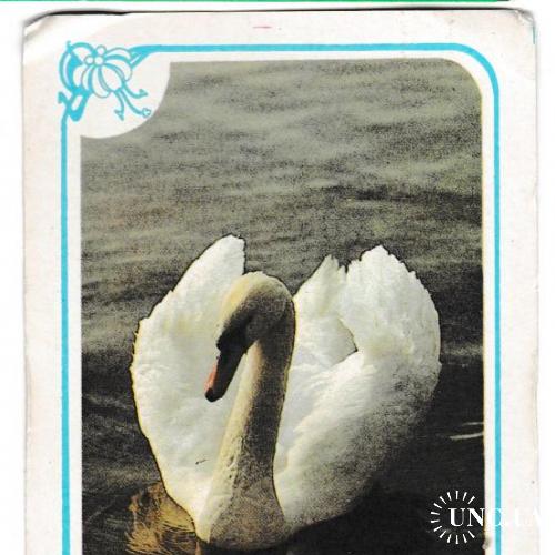 Календарик 1987 Лебедь
