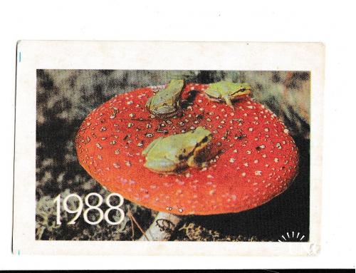 Календарик 1988 Гриб, мухомор, лягушки
