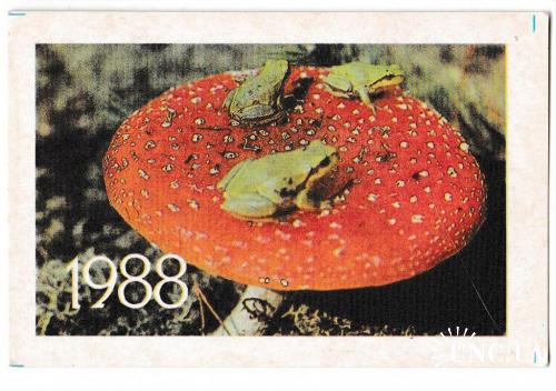 Календарик 1988 Грибы, лягушки
