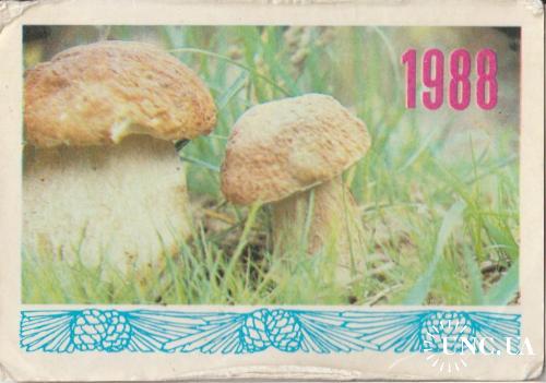 Календарик 1988 Грибы

