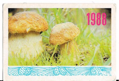 Календарик 1988 Грибы
