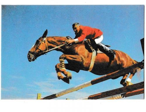 Календарик 1988 Кавказская здравница, лошадь, спорт

