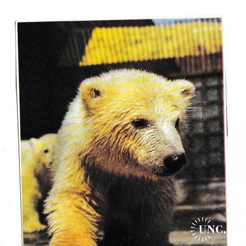 Календарик 1991 Фауна, медведь
