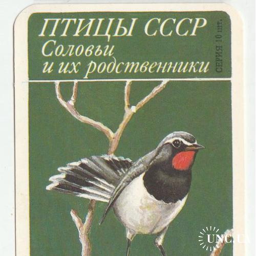 Календарик 1991 Фауна, Птицы СССР, соловей
